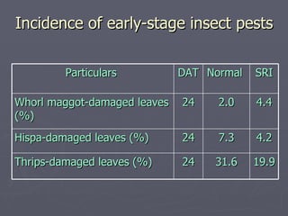 Incidence of early-stage insect pests Particulars  DAT Normal  SRI Whorl maggot-damaged leaves (%) 24 2.0 4.4 Hispa-damage...