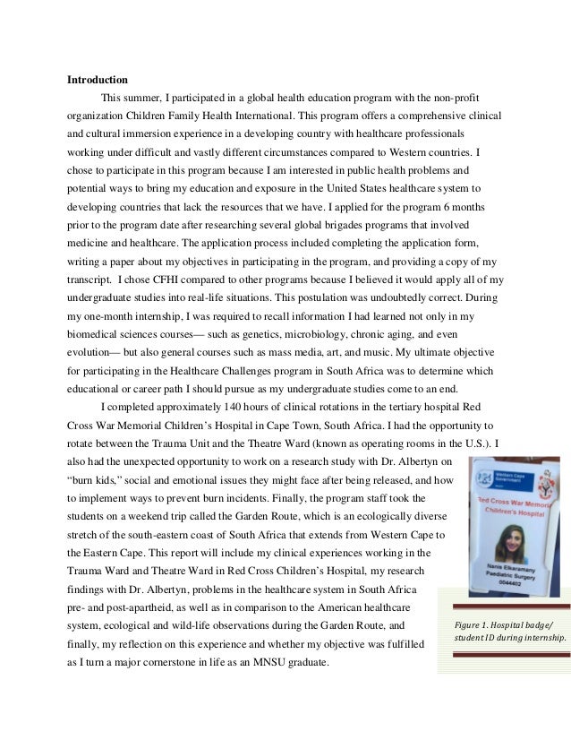 an environment essay template