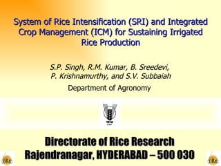 System of Rice Intensification (SRI) and Integrated Crop Management (ICM) for Sustaining Irrigated Rice Production S.P. Singh, R.M. Kumar, B. Sreedevi,  P. Krishnamurthy, and S.V. Subbaiah Directorate of Rice Research Rajendranagar, HYDERABAD – 500 030 Department of Agronomy 