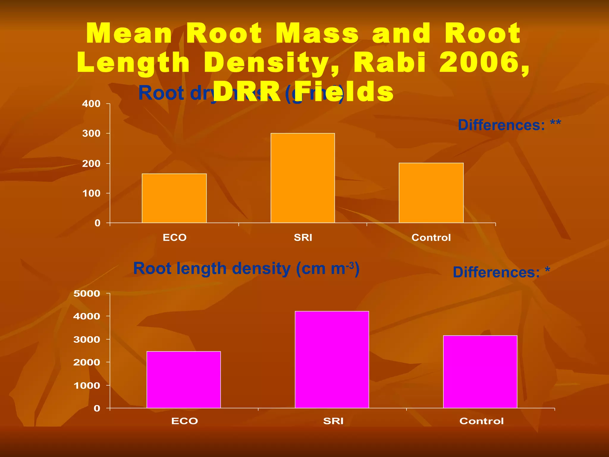 Root dry mass (g m -3 ) Root length density (cm m -3 ) Mean Root Mass and Root Length Density, Rabi 2006, DRR Fields Differences: ** Differences: * 