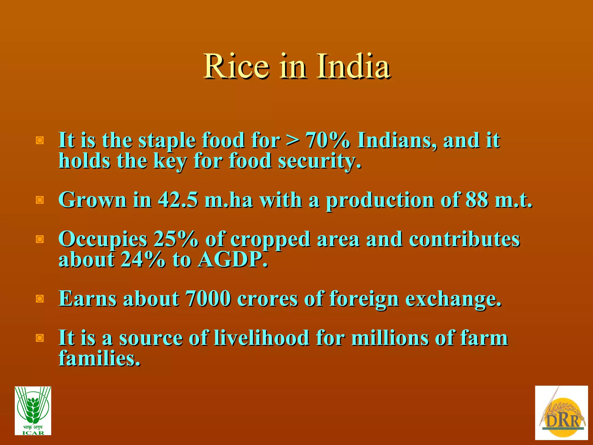 Rice in India It is the staple food for > 70% Indians, and it holds the key for food security. Grown in 42.5 m.ha with a production of 88 m.t. Occupies 25% of cropped area and contributes about 24% to AGDP. Earns about 7000 crores of foreign exchange. It is a source of livelihood for millions of farm families. 