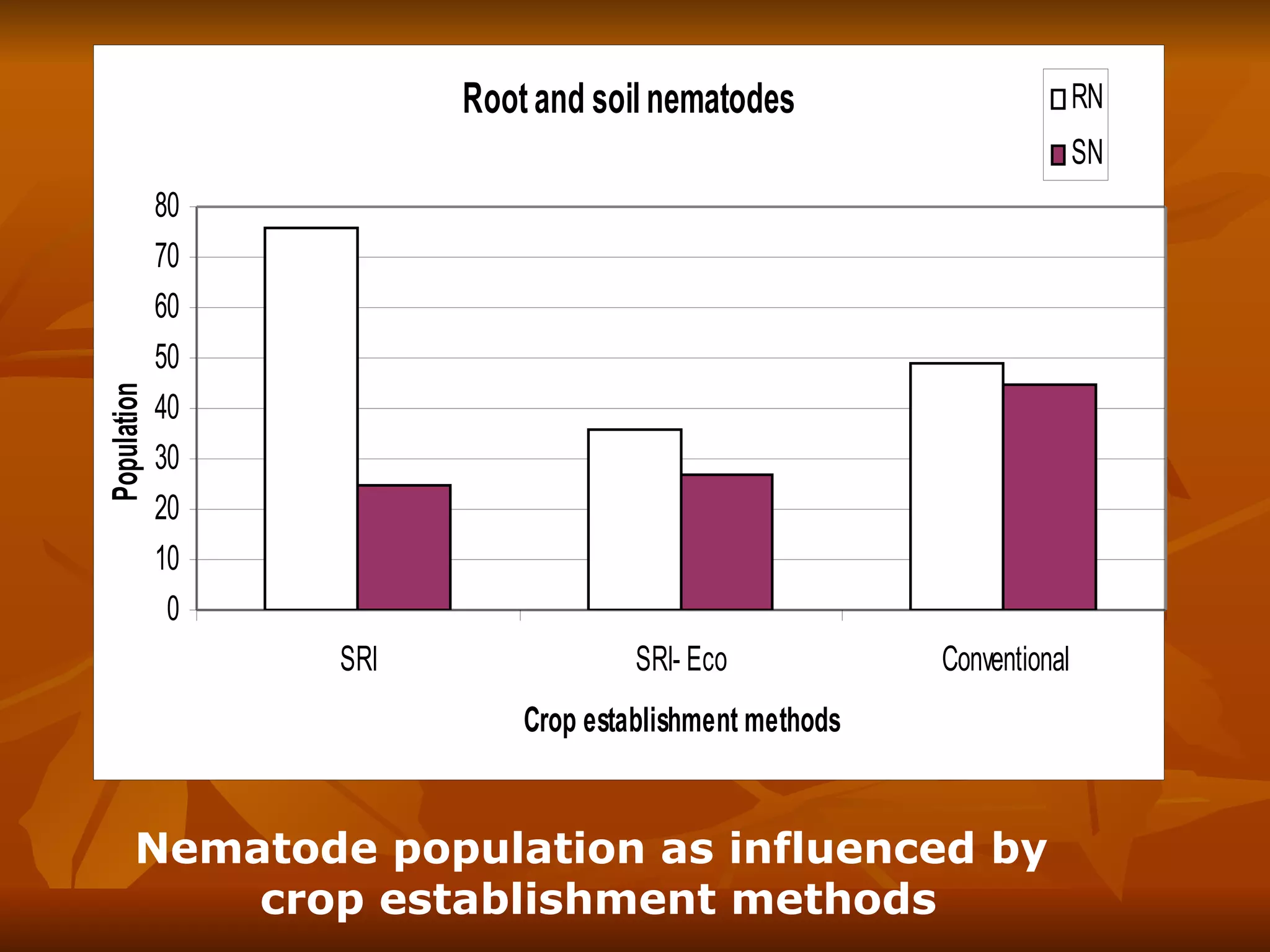 Nematode population as influenced by  crop establishment methods 