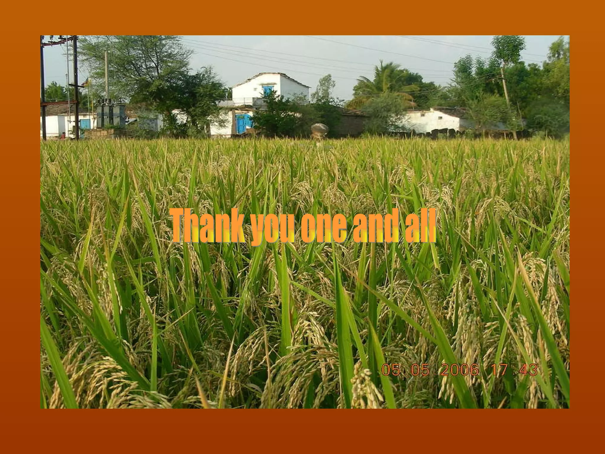 Thank You Thank you one and all 