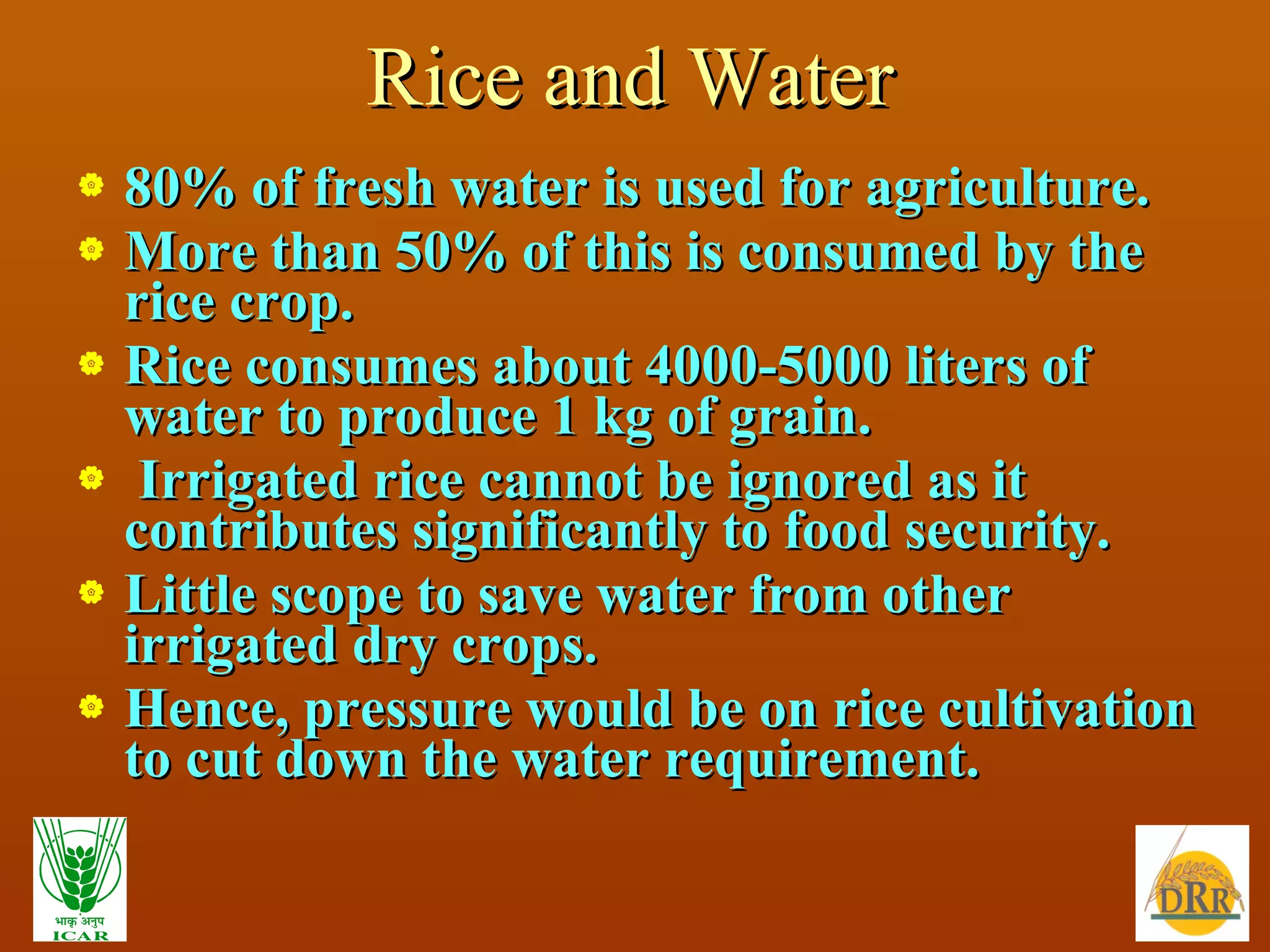 Rice and Water 80% of fresh water is used for agriculture. More than 50% of this is consumed by the rice crop. Rice consumes about 4000-5000 liters of water to produce 1 kg of grain. Irrigated rice cannot be ignored as it contributes significantly to food security. Little scope to save water from other irrigated dry crops. Hence, pressure would be on rice cultivation to cut down the water requirement. 