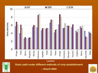 Grain yield under different methods of crop establishment –  Kharif 2004 Location SRI<NT SRI=NT SRI>NT SRI>ICM>NT SRI=ICM 