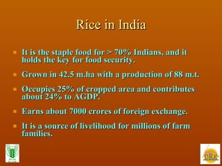 Rice in India <ul><li>It is the staple food for > 70% Indians, and it holds the key for food security. </li></ul><ul><li>G...