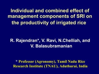 Individual and combined effect of management components of SRI on the productivity of irrigated rice   R. Rajendran*, V. Ravi, N.Chelliah, and  V. Balasubramanian *  Professor (Agronomy), Tamil Nadu Rice Research Institute (TNAU), Aduthurai, India 