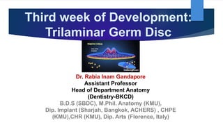 Third week of Development:
Trilaminar Germ Disc
Dr. Rabia Inam Gandapore
Assistant Professor
Head of Department Anatomy
(Dentistry-BKCD)
B.D.S (SBDC), M.Phil. Anatomy (KMU),
Dip. Implant (Sharjah, Bangkok, ACHERS) , CHPE
(KMU),CHR (KMU), Dip. Arts (Florence, Italy)
 