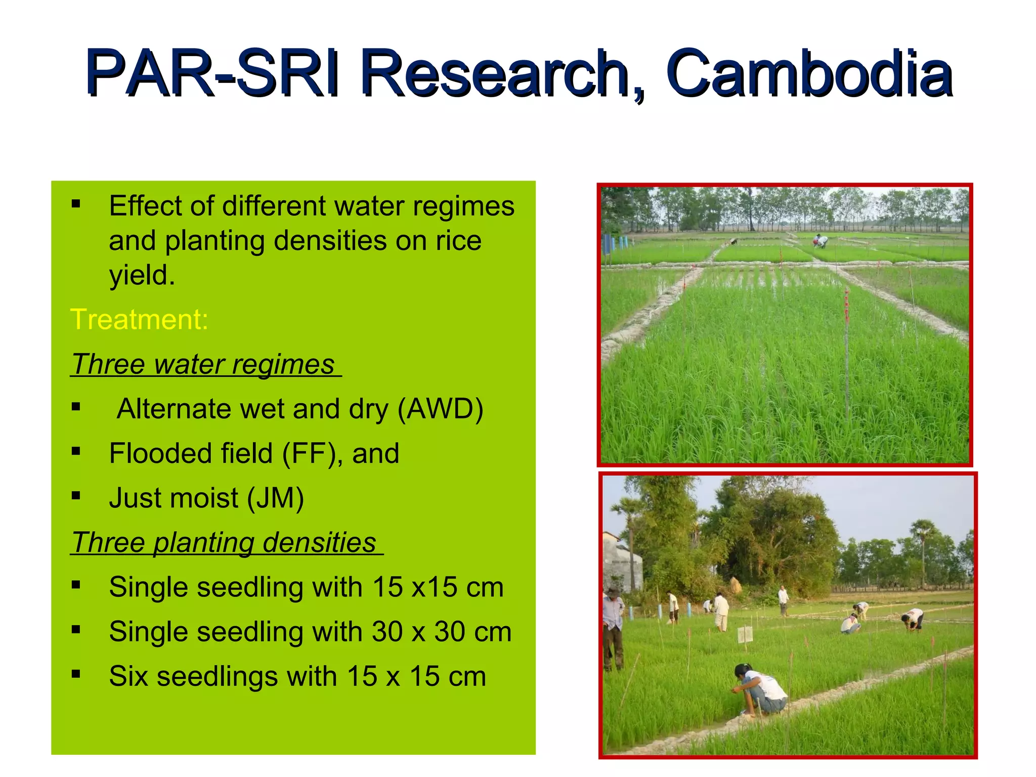 PAR-SRI Research, Cambodia Effect of different water regimes and planting densities on rice yield. Treatment: Three water regimes  Alternate wet and dry (AWD) Flooded field (FF), and Just moist (JM) Three planting densities  Single seedling with 15 x15 cm Single seedling with 30 x 30 cm Six seedlings with 15 x 15 cm 