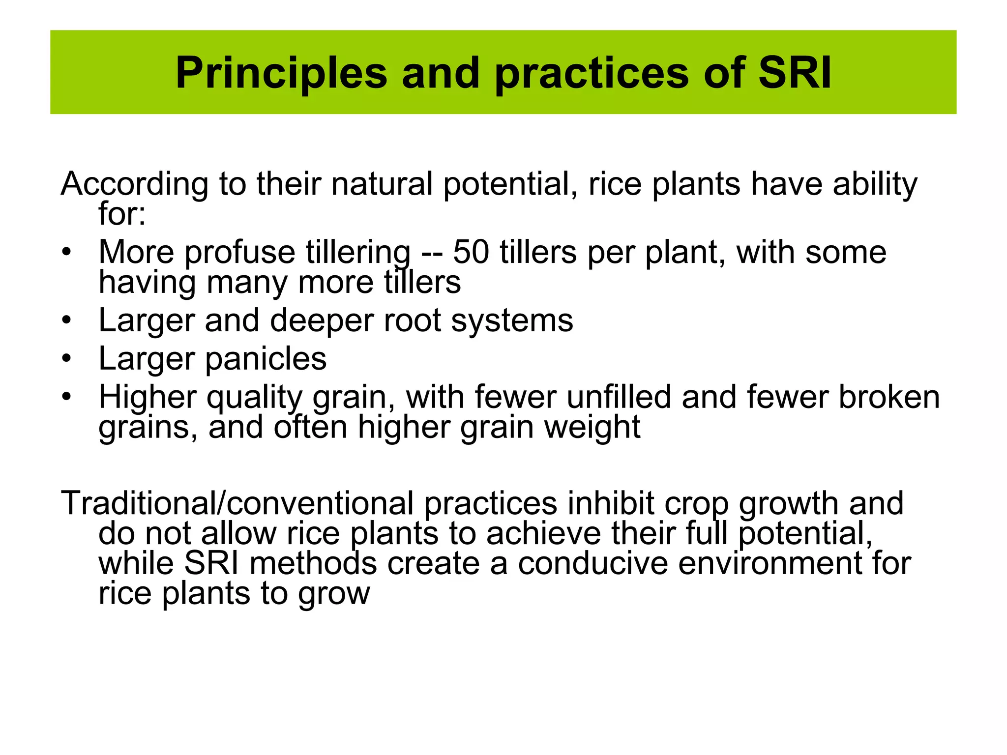Principles and practices of SRI According to their natural potential, rice plants have ability for: More profuse tillering -- 50 tillers per plant, with some having many more tillers Larger and deeper root systems Larger panicles Higher quality grain, with fewer unfilled and fewer broken grains, and often higher grain weight Traditional/conventional practices inhibit crop growth and do not allow rice plants to achieve their full potential, while SRI methods create a conducive environment for rice plants to grow 