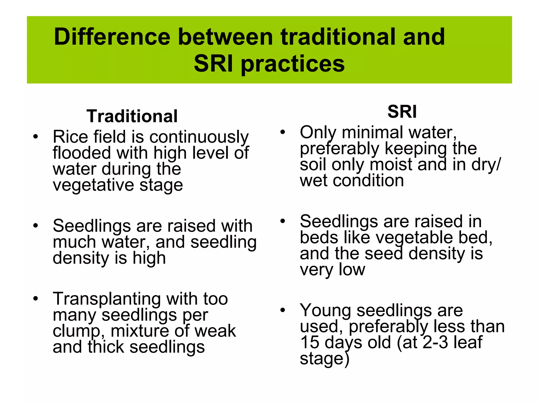 Difference between traditional and  SRI practices Traditional Rice field is continuously flooded with high level of water during the vegetative stage Seedlings are raised with much water, and seedling density is high Transplanting with too many seedlings per clump, mixture of weak and thick seedlings SRI Only minimal water, preferably keeping the soil only moist and in dry/wet condition Seedlings are raised in beds like vegetable bed, and the seed density is very low Young seedlings are used, preferably less than 15 days old (at 2-3 leaf stage) 