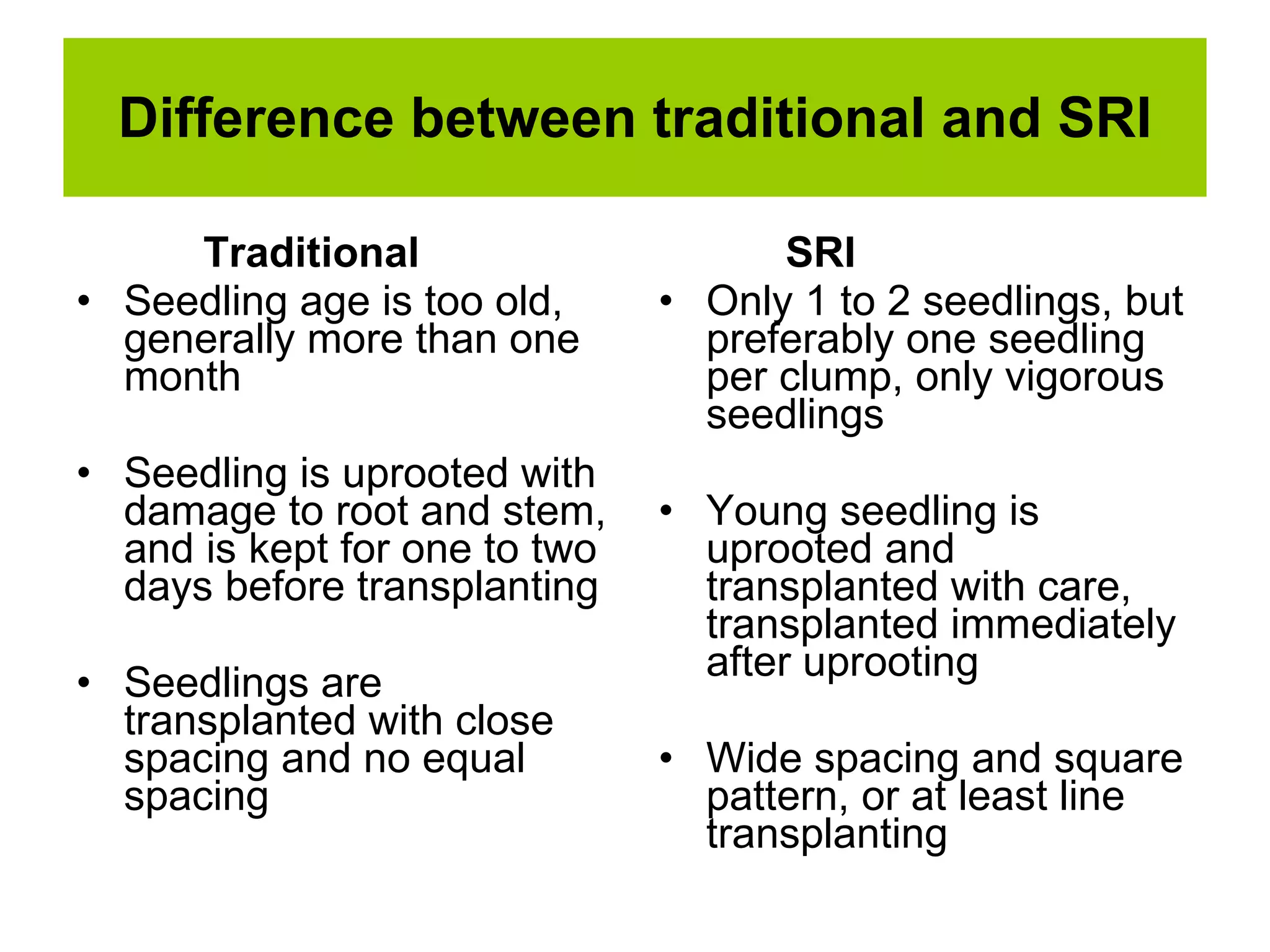 Difference between traditional and SRI Traditional Seedling age is too old, generally more than one month Seedling is uprooted with damage to root and stem, and is kept for one to two days before transplanting Seedlings are transplanted with close spacing and no equal spacing SRI Only 1 to 2 seedlings, but preferably one seedling per clump, only vigorous seedlings Young seedling is uprooted and transplanted with care, transplanted immediately after uprooting Wide spacing and square pattern, or at least line transplanting 