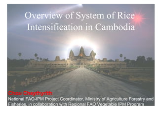 Overview of System of Rice  Intensification in Cambodia Chou Cheythyrith National FAO-IPM Project Coordinator, Ministry of Agriculture Forestry and Fisheries, in collaboration with Regional FAO Vegetable IPM Program 