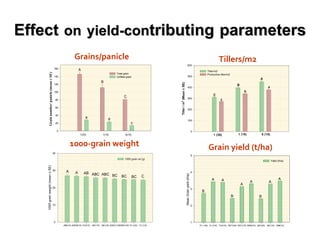 Effect   on   yield-con tributing   parameters Grains/panicle 1000-grain weight Tillers/m2 Grain yield (t/ha) 