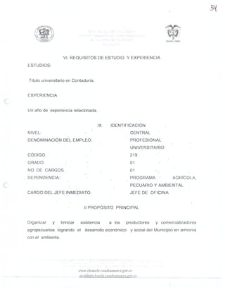 MANUAL DE FUNCIONES SEGUNDA PARTE