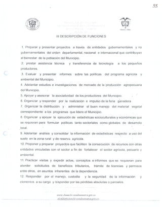 MANUAL DE FUNCIONES SEGUNDA PARTE