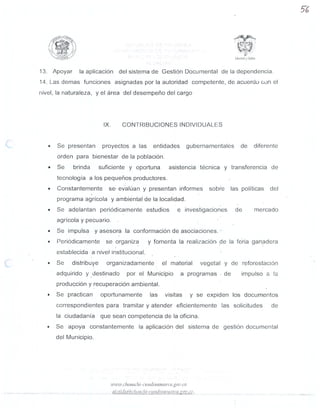 MANUAL DE FUNCIONES SEGUNDA PARTE