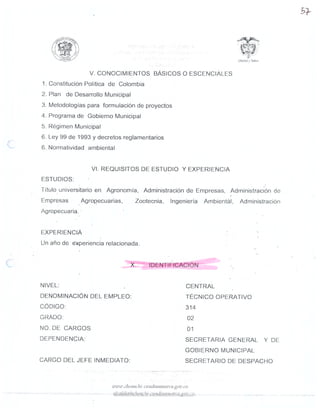 MANUAL DE FUNCIONES SEGUNDA PARTE