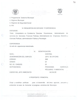 MANUAL DE FUNCIONES SEGUNDA PARTE