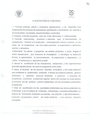 MANUAL DE FUNCIONES SEGUNDA PARTE