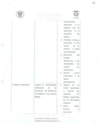 MANUAL DE FUNCIONES SEGUNDA PARTE