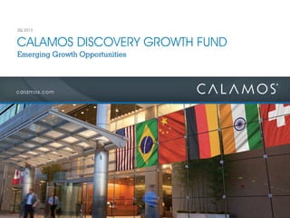 calamos.com
CALAMOS DISCOVERY GROWTH FUND
2Q 2013
Emerging Growth Opportunities
 
