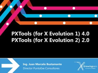 PXTools (for X Evolution 1) 4.0
PXTools (for X Evolution 2) 2.0



    Ing. Juan Marcelo Bustamante
    Director PuntoExe Consultores
 