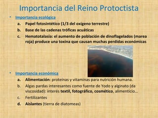 Importancia del Reino Protoctista
•

Importancia ecológica
a. Papel fotosintético (1/3 del oxígeno terrestre)
b. Base de las cadenas tróficas acuáticas
c. Hematotalasia: el aumento de población de dinoflagelados (marea
roja) produce una toxina que causan muchas perdidas económicas

•

Importancia económica
a. Alimentación: proteínas y vitaminas para nutrición humana.
b. Algas pardas interesantes como fuente de Yodo y alginato (da
viscosidad): interés textil, fotográfico, cosmético, alimenticio…
c. Fertilizantes
d. Aislantes (tierra de diatomeas)

 