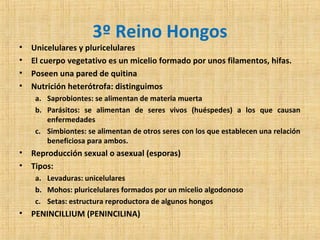 •
•
•
•

3º Reino Hongos

Unicelulares y pluricelulares
El cuerpo vegetativo es un micelio formado por unos filamentos, hifas.
Poseen una pared de quitina
Nutrición heterótrofa: distinguimos
a. Saprobiontes: se alimentan de materia muerta
b. Parásitos: se alimentan de seres vivos (huéspedes) a los que causan
enfermedades
c. Simbiontes: se alimentan de otros seres con los que establecen una relación
beneficiosa para ambos.

•
•

Reproducción sexual o asexual (esporas)
Tipos:
a. Levaduras: unicelulares
b. Mohos: pluricelulares formados por un micelio algodonoso
c. Setas: estructura reproductora de algunos hongos

•

PENINCILLIUM (PENINCILINA)

 
