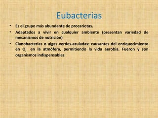 Eubacterias
•
•
•

Es el grupo más abundante de procariotas.
Adaptados a vivir en cualquier ambiente (presentan variedad de
mecanismos de nutrición)
Cianobacterias o algas verdes-azuladas: causantes del enriquecimiento
en O2 en la atmófera, permitiendo la vida aerobia. Fueron y son
organismos indispensables.

 