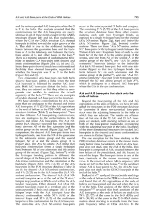 and the unincorporated A:G base-pairs when the G
is 3H
to the helix. Our analysis revealed that the
conformations for the A:G base-pairs are nearly
identical in all of these motifs except for the GNRA
tetraloops (Figure 2(b) and (c), blue nucleotides),
where the G of the GNRA tetraloop G:A sheared
base-pair is shifted toward the major groove of the
A. This shift is due to the additional hydrogen
bonds between the guanosine base and the back-
bone of A in the tetraloop, and between the back-
bone atoms of G and other bases in the loop.42
There is a minimal amount of conformational ¯exi-
bility in tandem G:A base-pairs with sheared and
imino conformations (Figure 2(b), (c), (e) and (f)).
Imino base-pairs showed much less conformational
¯exibility than sheared base-pairs, regardless of
whether the base-pair was 5H
or 3H
to the helix
(Figure 2(e) and (f)).
Two consecutive A:G base-pairs can both form
sheared base-pairs within a helix when the ®rst
G:A base-pair is followed by another A:G base-
pair. Both A:G base-pairs distort the helix; how-
ever, they are oriented so that they offset or com-
pensate one another to maintain the overall
regularity of the helix.15,43
There are six examples
of tandem sheared G:A base-pairs in the database.
We have identi®ed conformations for A:A base-
pairs that are analogous to the sheared and imino
A:G base-pairs. 61 % (23/38) of the AA oppositions
at the end of helices in the PDB NMR and crystal
structure database (Table 2) are base-paired. There
are ®ve different A:A base-pairing conformations;
two are analogous to the conformations in the
sheared and imino A:G base-pairs. The A:A N3-
amino (A:A sheared) base-pair has one hydrogen
bond between N3 of the ®rst adenosine and the
amino group on the second (Figure 2(g), top44
); in
comparison, the sheared A:G base-pair forms two
hydrogen bonds, one from the N3 of the guanosine
to the adenosine amino group and the second
between N7 of A and the amino group of G
(Figure 2(a)). The A:A N1-amino (A:A imino-like)
base-pair conformation forms a single hydrogen
bond between N1 of one adenosine and the amino
group of the second (Figure 2(g), bottom44
); while
the hydrogen bonding pattern is different, the
overall shape of the base-pair resembles that of the
A:G imino conformation and the orientation of the
backbone (Figure 2(d)). 70 % (16/23) of the A:A
base-pairs in the PDB structure database (Table 2)
are in the sheared (A:A N3-amino) conformation,
and 9 % (2/23) are in the A:A imino-like (A:A N1-
amino) conformation. The sheared A:A (A:A N3-
amino) base-pairs occur at the end of the D stem/
hairpin loop junction in tRNAs and within the A:A
tandem base-pairs. Other sheared A:A (A:A N3-
amino) base-pairs occur in a tetraloop and in the
unincorporated 3H
helix end category. All 11 of the
hairpin loops with the A:A base-pair have the
sheared conformation, while 50 % (4/8) of the
internal loops and 33 % (1/3) of the multi-stem
loops have this conformation for the A:A base-pair.
The imino-like A:A (A:A N1-amino) base-pairs
occur in the unincorporated 3H
helix end category.
The remaining 21 % (5/23) of the A:A base-pairs in
the structure database have three other confor-
mations, each with two hydrogen bonds, as
opposed to a single hydrogen bond for the sheared
(A:A N3-amino; Figure 2(g), top) and imino-like
(A:A N1-amino; Figure 2(g), bottom) confor-
mations. There are three ``A:A N7-amino, amino-
N1`` base-pairs (with hydrogen bonds between the
Watson-Crick and Hoogsteen faces of each A, one
from N7 of the ®rst A to the amino group of the
second, and one from N1 of the second A to the
amino group of the ®rst34
), one ``A:A N1-amino
symmetric'' base-pair (similar to the imino-like
A:A (A:A N1-amino) base-pair, but with one ade-
nosine ¯ipped so that two hydrogen bonds can
form between N1 on each adenosine and the
amino group of its partner34
), and one ``A:A N7-
amino symmetric'' base-pair (with hydrogen bonds
between the N7 and amino groups of each A44
),
which is analogous to a sheared A:G base-pair
where the G is in the syn conformation.
A:A and A:G base-pairs that stack onto the
ends of helices
Beyond the base-pairing of the AA and AG
oppositions at the ends of helices, we have investi-
gated the structures in the PDB structure database
to determine if these non-canonical base-pairs
stack onto the adjoining base-pair in the helix to
which they are adjacent. The results are af®rma-
tive: all but one of the 72 A:G and 23 A:A base-
pairs are stacked, with stacking de®ned as one or
both of the base-paired nucleotides overlapping
with the adjoining base-pair in the helix. Examples
of the three-dimensional structures for stacked A:G
base-pairs in the sheared and imino conformations
are shown in Online Figure 4.
The one exception for the base stacking in the
PDB structure database occurs in the mouse mam-
mary tumor virus pseudoknot, where an A:A base-
pair does not stack onto the end of the helix. This
base-pair is composed of A14, situated between the
two helices of the pseudoknot, and A6, located in
one of the loops. This base-pair forms in one of the
two constructs of the mouse mammary tumor
virus. In the construct where A14 is unpaired, A14
stacks on G15 in the helix below.45
In the construct
where A14 is base-paired to A6, the A14:A6 base-
pair does not stack on the G15:C5 base-pair at the
end of the helix.46
Burkard et al.47
analyzed the nucleotide stackings
at the ends of helices in the PDB structure database
and found that all AG oppositions at the ends of
helices are base-paired and stacked when the G is
3H
to the helix. Our analysis of the rRNA crystal
structures31,33
revealed that both positions of the
A:G base-pairs at the ends of helices are stacked in
78 % (21/27) of the cases in the 16 S rRNA and
88 % (36/41) of the cases in the 23 S rRNA (infor-
mation about stacking is available from the base-
pair frequency tables at CRW AA.AG). In the
A:A and A:G Base-pairs at the Ends of RNA Helices 745
 