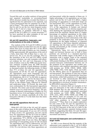 Toward this end, an earlier analysis of base-paired
and unpaired nucleotides in covariation-based
rRNA structure models has revealed that there is a
signi®cant bias for adenosines to be unpaired, and
a more pronounced bias for unpaired As at the 3H
end of loops.25
The same analysis also determined
that Gs and As are the two most frequent nucleo-
tides at the 5H
end of a loop. Given that the GA/
AA opposition at positions 1056:1103 is base-
paired in the 23 S rRNA L11 crystal structures,30,49
we have searched for other examples of AA and
AG oppositions at the ends of helices.
AA and AG oppositions, base-pairs, and
conformations at the ends of helices
Our analysis of the 16 S and 23 S rRNA covaria-
tion-based models revealed that AA and AG oppo-
sitions that occur in more than 90 % of the rRNA
sequences at the ends of helices are very common.
Of the approximately 400 oppositions at the end of
a helix, more than 100 of them have a very con-
served AA, AG or an AA/AG exchange. Prior to
the resolution of the 16 S and 23 S rRNA crystal
structure solutions, our only examples with physi-
cal evidence for A:G and A:A base-pairs at the
ends of helices were in the NMR and crystal struc-
ture solutions available from the PDB structure
database. Our analysis of both databases revealed,
as discussed earlier, the following trends. (1) More
than 75 % of these AA and AG oppositions are
base-paired. (2) Of the AA and AG oppositions,
AG oppositions occur more frequently and are
base-paired at a higher percentage. (3) For the two
AG orientations, the G is 3H
to the helix in approxi-
mately 90 % of the cases. (4) For the three loop cat-
egories, the highest percentage of base-pairing
occurs in the hairpin loops, followed by internal
and multi-stem loops. (5) Overall, the most com-
mon conformation for the base-paired oppositions
is sheared. The imino and several unusual confor-
mations occur at a much lower frequency. The per-
centage of sheared conformations is higher for A:G
base-pairs (versus A:A) and higher when the G is 3H
to the helix. In contrast, essentially all of the A:G
base-pairs with the G 5H
to the helix have the imino
conformation.
AA and AG oppositions that are not
base-paired
While 80 % (93/116) of the AA and AG opposi-
tions at the ends of helices from the PDB structure
database are base-paired, 23 are not. 65 % (15/23)
of these involve AA oppositions and 35 % (8/23)
have AG oppositions. For the 16 S and 23 S rRNA,
we have similar percentages of unpaired AA and
AG oppositions. 77 % (76/99) of the oppositions
are base-paired while 23 are not. Here, the highest
percentage of non-pairing occurs for the invariant
AA oppositions (66 %; 8/12), followed by AA/AG
exchanges (26 %; 12/46) and invariant AGs (7 %;
3/41). It is not obvious why these oppositions are
not base-paired, while the majority of them are. A
higher percentage of AA oppositions are not base-
paired, and for the 16 S and 23 S rRNA a higher
percentage of oppositions in multi-stem loops are
not base-paired (42 % of the oppositions in multi-
stem loops are not base-paired, versus 5 % and
13 % of the oppositions in hairpin and internal
loops; Table 1). There are no obvious sequence pat-
terns ¯anking the oppositions that distinguish the
paired from the unpaired. Maybe there is a higher
percentage of unpaired oppositions in the multi-
stem loops since these regions of the RNA have
more opportunities to form interactions with other
positions in the multi-stem loop. And maybe the
explanation for the higher frequency of unpaired
AA oppositions is that these unpaired adenosines
are inserting into the minor groove of helices, as
recently documented in the A-minor motif54
and
type I/II base triples.55
Alternatively, these AA and AG oppositions
might not base-pair because one or both of these
positions are involved in a standard base-base
interaction with another region of the RNA or an
interaction with a protein. Some of the unpaired
oppositions in the PDB database are associated
with protein binding to the RNA, pseudoknots and
unusual base-pair conformations between one of
the positions in the opposition and another pos-
ition (entries with unpaired oppositions associated
with proteins are: 1CN8, 1AUD, 1RNK, 1ZDI,
1ZDJ, 7MSF, 1YFG, 1C04; 1QA6, 1TLR, and 1GID).
For the rRNAs, there are 23 oppositions that are
not base-paired. The positions in only four of these
are not involved in other intramolecular base-base
interactions, while both positions in 12 oppositions
are involved in other intramolecular RNA-RNA
interactions, and one of the positions in seven of
the oppositions is involved in another intramolecu-
lar RNA-RNA interaction (Figure 1).
However, in contrast, there are examples of A:A
and A:G base-pairs at the ends of helices in the
PDB database that are also interacting with pro-
teins (entries with paired oppositions associated
with proteins are: 1A4T, 1QFQ, 1D6 K, 1DFU,
1ETF, 1ULL, 484D, 2TOB, 1NEM, and 1PBR). For
the rRNAs, there are examples of A:A and A:G
base-pairs at the ends of helices that are interacting
with other positions in the rRNA crystal
structures.31,33
Thus, there is no simple explanation
for why some of the AA and AG oppositions are
not base-paired. However, there is an example of
an A:A/A:G base-pair at the end of a helix in the
16 S rRNA that becomes unpaired during protein
synthesis, suggesting that these AA and AG oppo-
sitions might not be static, but instead involved in
movement (see below).
A:A and A:G base-pairs and conformations in
larger motifs
In 1985, it was observed that the majority of the
adenosines were unpaired in the E. coli 16 S rRNA
covariation-based structure model.56
More recently,
A:A and A:G Base-pairs at the Ends of RNA Helices 747
 