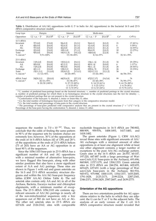 sequences the number is 7.0 Â 10À265
. Thus, we
conclude that the odds of ®nding the same pattern
in 90 % of the sequence sets by random chance are
extremely low; however, 30 % of the oppositions at
the ends of 16 S rRNA helices (42 of 139) and 28 %
of the oppositions at the ends of 23 S rRNA helices
(73 of 263) have an AA or AG opposition in at
least 90 % of the sequences.
Since the 1056:1103 base-pair in 23 S rRNA has a
signi®cant number of AA and AG oppositions
with a minimal number of alternative base-pairs,
we have ¯agged this base-pair, along with other
similar positions that also have a more signi®cant
extent of A:A and A:G pairings. These sites are
shown in Figure 1 with red and green asterisks on
the 16 S and 23 S rRNA secondary structure dia-
grams and within the AA/AG base-pair frequency
tables (CRW AA.AG Online Table 4). The red
asterisk sites contain only AA and AG in all of the
Archaea, Bacteria, Eucarya nuclear and chloroplast
alignments, with a minimum number of excep-
tions. The 23 S rRNA 1056:1103 site contains sig-
ni®cant amounts of AA/AG pairings in nearly all
of the non-mitochondrial sequences; only a few
sequences out of 582 do not have an AA or AG.
The other red asterisk sites in 23 S rRNA are
627:636 and 2126:2162; sites with comparable
nucleotide frequencies in 16 S rRNA are 780:802,
888:909, 959:976, 1408:1493, 1417:1483, and
1418:1482.
The green asterisks (Figure 1; CRW AA.AG)
reveal those sites with signi®cant amounts of AA/
AG exchanges with a minimal amount of other
oppositions in at least one alignment while at least
one other alignment contains a larger number of
exceptions to the pure AA/AG exchange pattern.
Green sites in the 16 S rRNA are: 26:557, 60:107,
197:220, 447:487 (with a large percentage of Wat-
son-Crick/G:U base-pairs in the Archaea), 691:696,
860:869, 1157:1179, and 1304:1333. Green asterisk
sites in 23 S rRNA are 244:254, 463:466, 602:655,
603:625, 637:651 (with a large percentage of Wat-
son-Crick base-pairs in the Archaea), 861:916,
945:972, 975:988, 1000:1155, 1354:1377, 1655:2005,
1791:1828, 2125:2173, 2199:2224, 2287:2345,
2346:2371, 2358:2429, 2587:2607, and 2639:2775.
Orientation of the AG oppositions
There are two orientations possible for AG oppo-
sitions relative to the helix to which they are adja-
cent: the G can be 5H
or 3H
to the adjacent helix. The
analysis of an early version of the E. coli 16 S
rRNA comparative structure model revealed that
Table 1. Distribution of AA/AG oppositions (with G 3H
to helix for AG oppositions) in the bacterial 16 S and 23 S
rRNA comparative structure models
Loop type Hairpin Internal Multi-stem
Opposition C[ ‡,ù, À ]a
[S,I,O]b
C[ ‡,ù, À ]a
[S,I,O]b
C[ ‡,ù, À ]a
[S,I,O]b
Coc
Crd
(%)
16 S rRNA
Invariant 7[7,0,0] [7,0,0] 9[6,0,3] [3,2,1] 5[4,0,1] [0,2,2] 21 17 (81%)
AA 0[0,0,0] [0,0,0] 5[2,0,3] [0,1,1] 1[1,0,0] [0,1,0] 6 3 (50%)
AG 7[7,0,0] [7,0,0] 4[4,0,0] [3,1,0] 4[3,0,1] [0,1,2] 15 14 (93%)
Exchange 2[2,0,0] [2,0,0] 10[9,1,0] [7,1,1] 9[4,0,5] [2,0,2] 20 15 (75%)
Total 9[9,0,0] [9,0,0] 19[15,1,3] [10,3,2] 14[8,0,6] [2,2,4] 41 32
% xtal.str.e
9/9ˆ100% 15/18ˆ83% 8/14ˆ57% 32/41ˆ78%
23 S rRNA
Invariant 11[9,2,0] [9,0,0] 13[10,2,1] [9,0,1] 13[6,1, 6] [5,1,0] 32 25 (78%)
AA 0[0,0,0] [0,0,0] 4[1,2,1] [0,0,1] 4[0,0, 4] [0,0,0] 6 1 (17%)
AG 11[9,2,0] [9,0,0] 9[9,0,0] [9,0,0] 9[6,1, 2] [5,1,0] 26 24 (92%)
Exchange 4[2,1,1] [2,0,0] 12[8,3,1] [8,0,0] 20[9,6, 5] [7,0,2] 26 19 (74%)
Total 15[11,3,1] [11,0,0] 25[18,5,2] [17,0,1] 33[15,7,11] [12,1,2] 58 44
% xtal.str.e
11/12ˆ92% 18/20ˆ90% 15/26ˆ58% 44/58ˆ76%
rRNA Total 24[20,3,1] [20,0,0] 44[33,6,5] [27,3,3] 47[23,7,17] [14,3,6] 99 76
% xtal.str.e
20/21ˆ95% 33/38ˆ87% 23/40ˆ58% 76/99ˆ77%
S: 20/20 (100%) S: 27/33 (82%) S: 14/23 (61%) S: 61/76 (80%)
I: 3/33 (9%) I: 3/23 (13%) I: 6/76 (8%)
O: 3/33 (9%) O: 6/23 (26%) O: 9/76 (12%)
a
C, number of predicted base-pairings based on the bacterial structure; ‡, number of predicted pairings in the crystal structure;
ù, number of predicted pairings for which there is no homologous structure in the crystal structures (see the text for details); À,
number of predicted pairings that are not present in the crystal structure.
b
Conformation of the base-pair: S, sheared; I, imino or imino-like; O, other.
c
Co, the total number of homologous base-pairs from that category in the comparative structure model.
d
Cr, the total number and percentage of base-pairs in the crystal structure.
e
The percentage of base-pairs predicted with comparative analysis that are present in the crystal structure [`` ‡ ``/(``C''-``ù``)].
Percentage of the base-pairs having the conformation: S, sheared; I, imino; O, other.
A:A and A:G Base-pairs at the Ends of RNA Helices 737
 