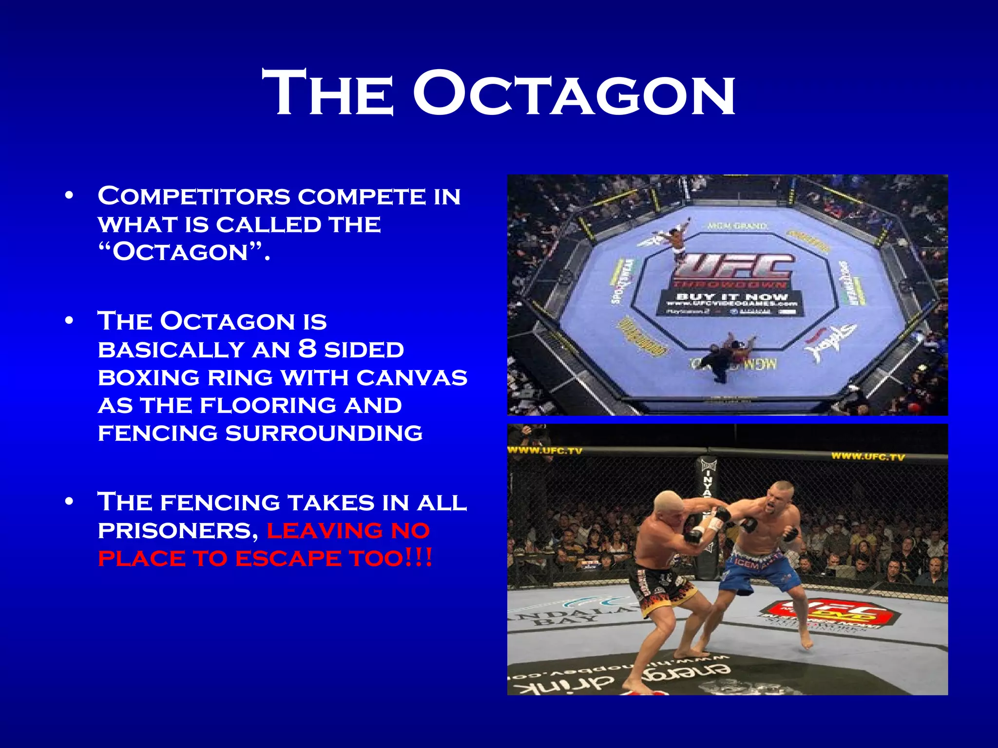 ULTIMATE FIGHTING CHAMPIONSHIP visual data 8