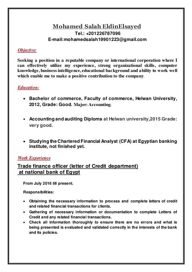 My Updated Cv