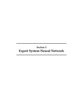 Section 3 
Expert System Neural Network 
 