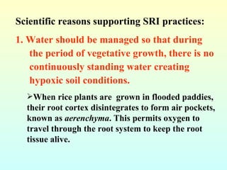 <ul><li>Scientific reasons supporting SRI practices: </li></ul><ul><li>1. Water should be managed so that during </li></ul...
