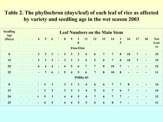 Table 2. The phyllochron (days/leaf) of each leaf of rice as affected by variety and seedling age in the wet season 2003 S...