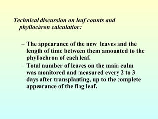 <ul><li>Technical discussion on leaf counts and phyllochron calculation:  </li></ul><ul><ul><li>The appearance of the new ...