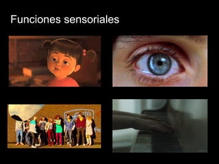 Funciones sensoriales 
 