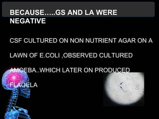 BECAUSE…..GS AND LA WERE
NEGATIVE
CSF CULTURED ON NON NUTRIENT AGAR ON A
LAWN OF E.COLI ,OBSERVED CULTURED
AMOEBA..WHICH LATER ON PRODUCED
FLAGELA
 