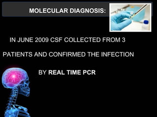 MOLECULAR DIAGNOSIS:
IN JUNE 2009 CSF COLLECTED FROM 3
PATIENTS AND CONFIRMED THE INFECTION
BY REAL TIME PCR
 