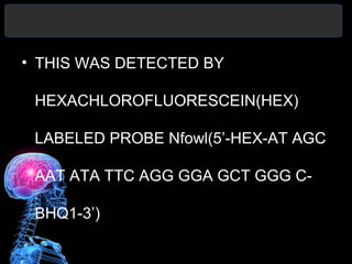 • THIS WAS DETECTED BY
HEXACHLOROFLUORESCEIN(HEX)
LABELED PROBE Nfowl(5’-HEX-AT AGC
AAT ATA TTC AGG GGA GCT GGG C-
BHQ1-3’)
 