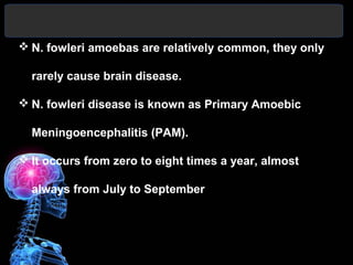  N. fowleri amoebas are relatively common, they only
rarely cause brain disease.
 N. fowleri disease is known as Primary Amoebic
Meningoencephalitis (PAM).
 It occurs from zero to eight times a year, almost
always from July to September
 