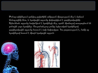 Թոքաբշտիկներում գտնվող թթվածինն անկայուն միացություն մեջ է մտնում
,հեմոգլոբինի հետ և երակային արյունը փոխարկվում է զարկերակայինի։
,Այնուհետև արյունը հավաքվում է երակների մեջ որոնք միանալով առաջացնում են
թոքային չորս երակներ։ Յուրաքանչյուր թոքից երկուական երակներով
,զարկերակային արյունը հոսում է ձախ նախասիրտ։ Դա բացառություն է քանի որ
երակներով հոսում է միայն երակային արյուն։
 
 