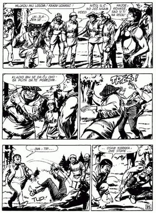 0763. GAVRANOVA PERA