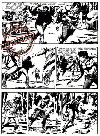 0763. GAVRANOVA PERA