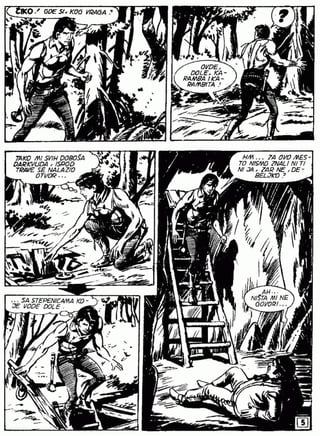 0763. GAVRANOVA PERA