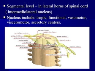  Segmental level – in lateral horns of spinal cordSegmental level – in lateral horns of spinal cord
( intermediolateral nucleus)( intermediolateral nucleus)
 Nucleus include: tropicNucleus include: tropic,, functionalfunctional,, vasomotorvasomotor,,
visceromotorvisceromotor,, secretorysecretory ссenters.enters.
 