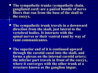  TheThe sympathetic trunkssympathetic trunks ((sympathetic chainsympathetic chain,,
gangliated cordgangliated cord)) are a paired bundle of nerveare a paired bundle of nerve
fibers that run from the base of thefibers that run from the base of the skullskull toto
thethe coccyxcoccyx..
 The sympathetic trunk travels in a downwardThe sympathetic trunk travels in a downward
direction from the skull, just lateral to thedirection from the skull, just lateral to the
vertebral bodies. It interacts with thevertebral bodies. It interacts with the
spinal nervesspinal nerves or their ventral rami by way ofor their ventral rami by way of
rami communicantesrami communicantes..
 The superior end of it is continued upwardThe superior end of it is continued upward
through thethrough the carotid canalcarotid canal into the skull, andinto the skull, and
forms aforms a plexusplexus on theon the internal carotid arteryinternal carotid artery;;
the inferior part travels in front of thethe inferior part travels in front of the coccyxcoccyx,,
where it converges with the other trunk at awhere it converges with the other trunk at a
structure known as thestructure known as the ganglion imparganglion impar..
 